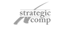 Strategic Insurance