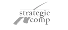 Strategic Insurance